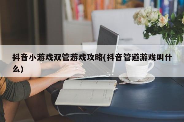 抖音小游戏双管游戏攻略(抖音管道游戏叫什么)